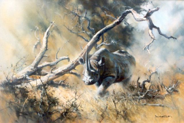 Donald Grant | Rhino Charge, olieverf op doek, 70,0 x 106,0 cm, gesigneerd r.o.