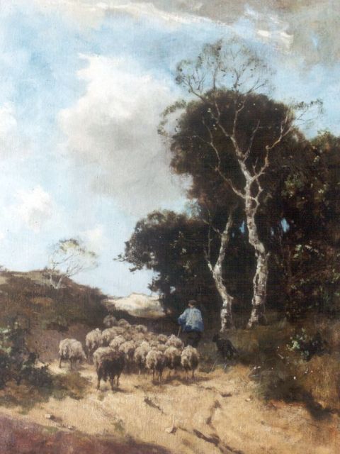 Scherrewitz J.F.C.  | Herder met schaapskudde op de hei, olieverf op doek 65,5 x 50,8 cm, gesigneerd l.o.