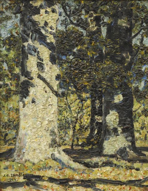 Jan Adam Zandleven | Witte boom, olieverf op doek, 41,7 x 32,7 cm, gesigneerd l.o. en gedateerd 1914