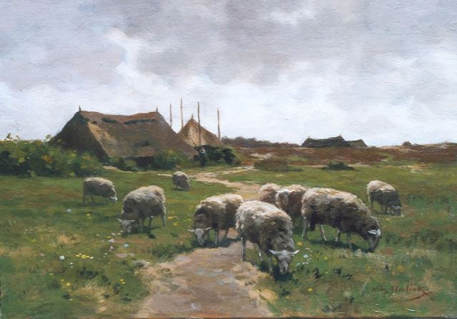 Willem Steeling jr. | Grazende schapen aan de rand van de hei, olieverf op doek, 26,6 x 38,0 cm, gesigneerd r.o.