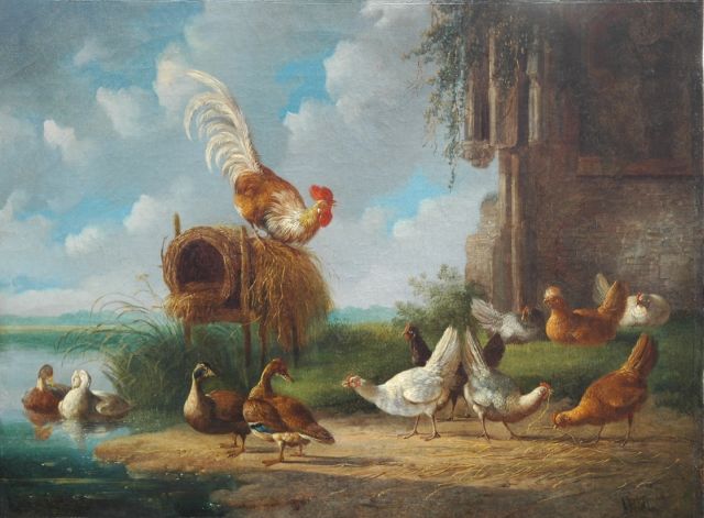 Albertus Verhoesen | Haan met sierkippen en eenden aan de waterkant, olieverf op doek, 34,7 x 46,5 cm, gesigneerd r.o.