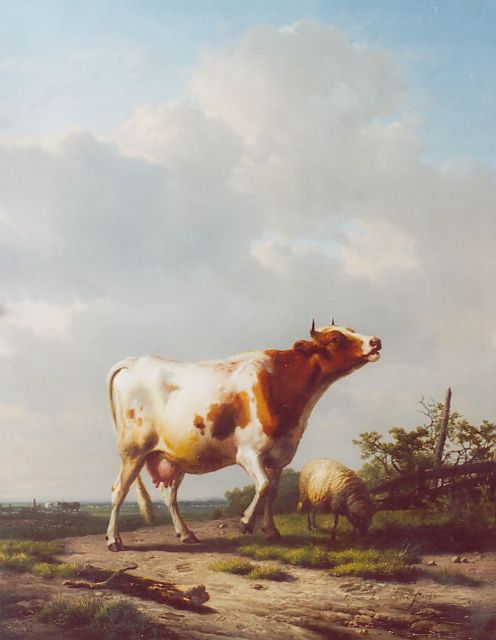 Eugène Verboeckhoven | Jonge koe, olieverf op paneel, 68,2 x 53,2 cm, gesigneerd r.o. en gedateerd 1853