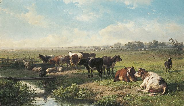 Jan Bedijs Tom | Vee in polderlandschap, olieverf op doek, 71,0 x 120,0 cm, gesigneerd l.o.