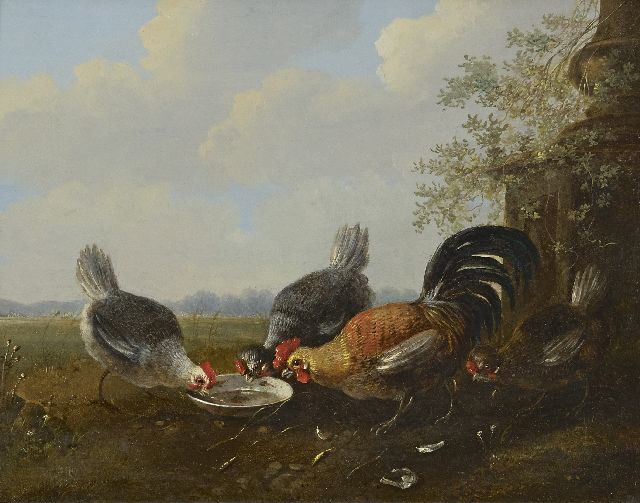 Albertus Verhoesen | Vier sierkippen, olieverf op paneel, 22,4 x 27,8 cm
