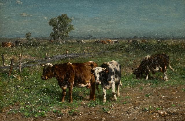 Jan de Haas | Zwart- en roodbont vee in een weide, olieverf op paneel, 31,3 x 47,2 cm, gesigneerd r.o.