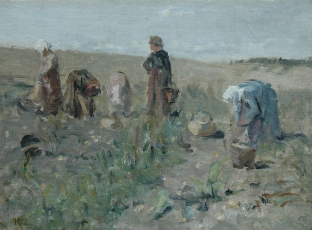 David Artz | Aardappelrooisters in de duinen, olieverf op doek op paneel, 30,9 x 41,6 cm, gesigneerd l.o.