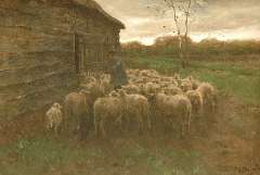 Mauve A. - Het voeren van de schapen, olieverf op doek 55,5 x 80,7 cm, gesigneerd r.o.