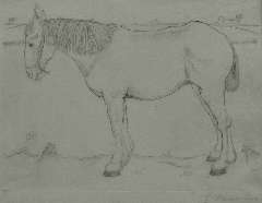 Mankes J. - Staand paard, ets op papier 11,7 x 15,8 cm, l.m. met monogram in de plaat en te dateren 1917