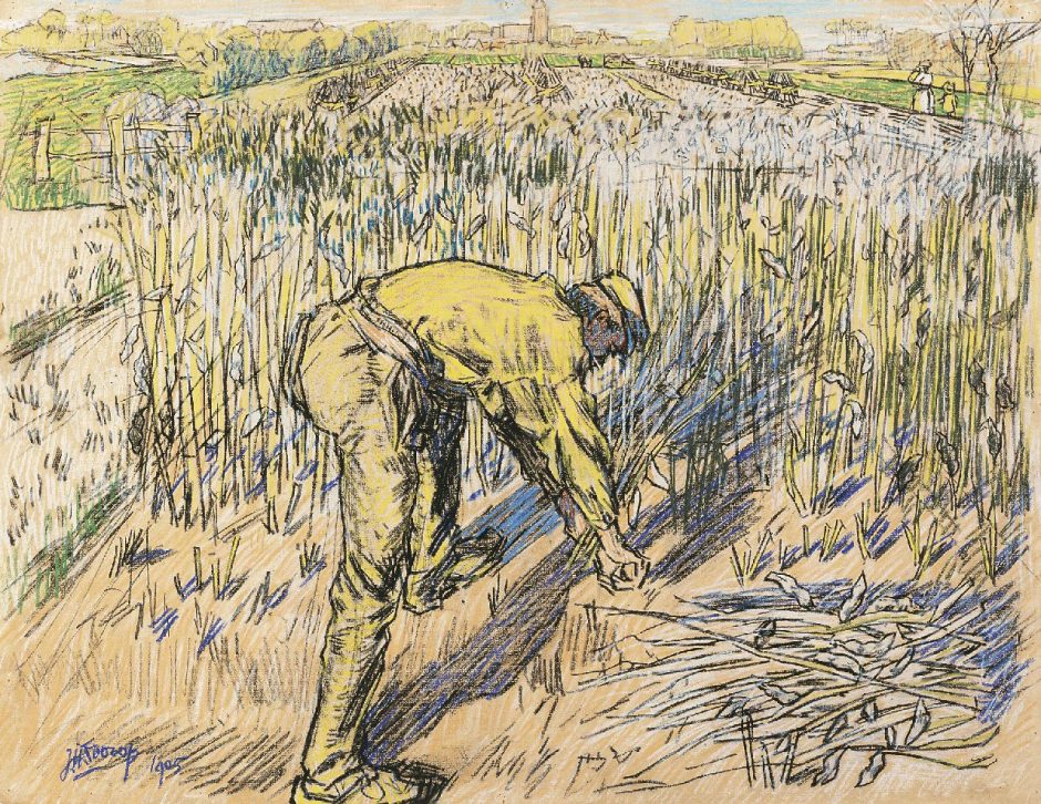 Jan Toorop - Bonensnijder, potlood en gekleurd krijt op papier 48 x 62 cm , gesigneerd l.o. en gedateerd 1905