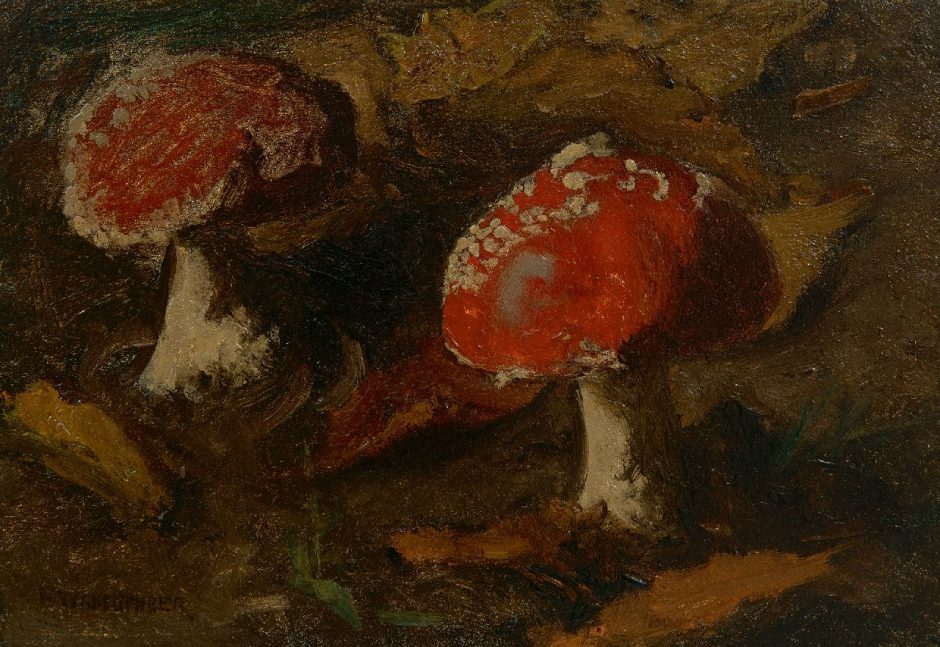 Marie Wandscheer - Vliegezwammen, olieverf op paneel 17,4 x 24,9 cm , gesigneerd l.o.