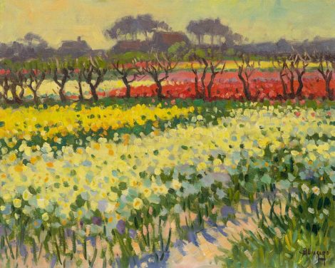 Ben Viegers - Narcissen- en tulpenvelden in Bakkum, Noord-Holland, olieverf op doek 40,6 x 50,6 cm, gesigneerd r.o.