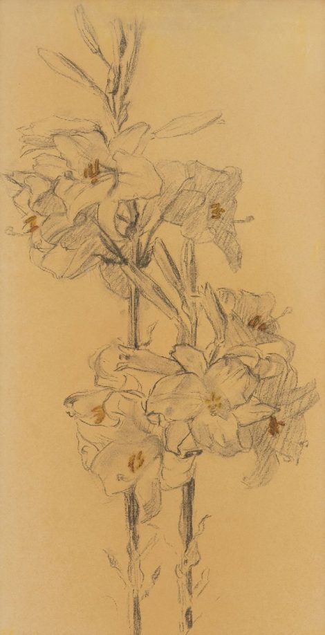 Bart van der Leck - Lelies, grafiet en aquarel op papier 50,0 x 26,0 cm, gesigneerd verso en verso gedateerd 1922 annotatie verso: 'B.v.D.LECK FECIT 1922'